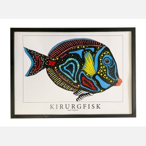 Kirurgfisk  31,5x43,5 cm