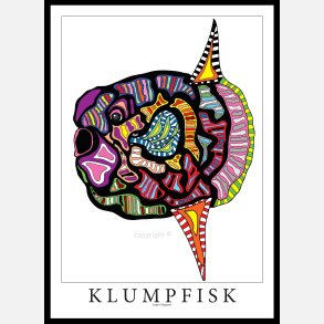 Klumpfisk 70x50 cm
