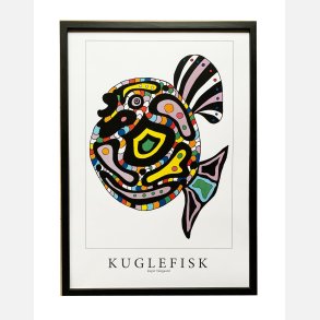 Kuglefisk  31,5x22,5 cm