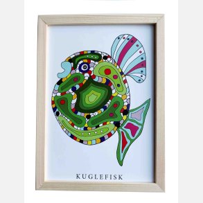 Kuglefisk  22,5x16,5 cm indrammet i fyrtr