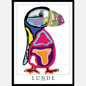 Lunde 70x50 cm