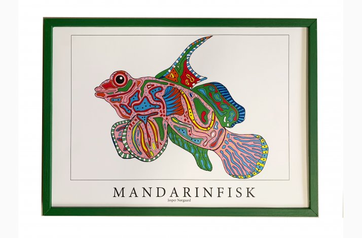 Mandarinfisk  31,5x43,5 cm