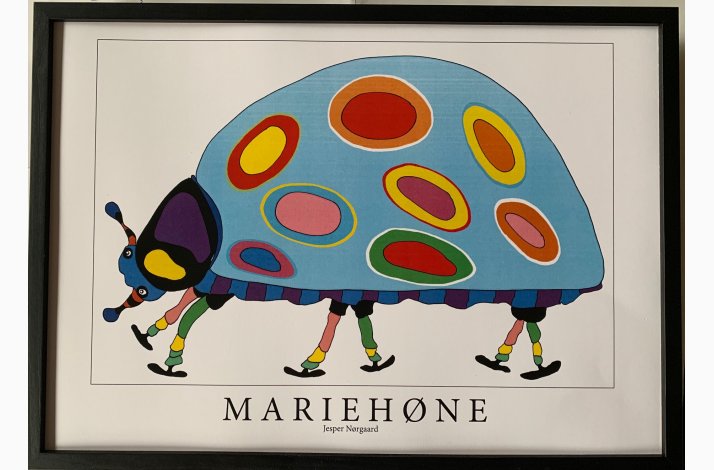 Mariehne  bl  31,5x43,5 cm