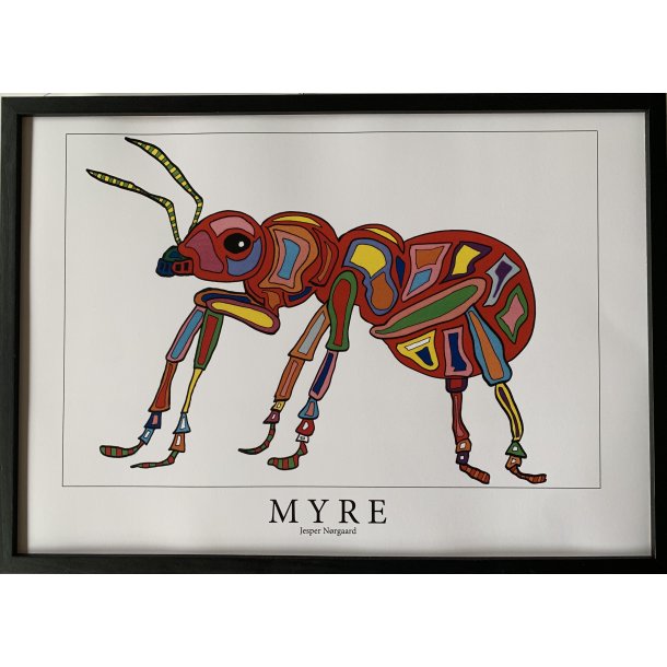 Product picture