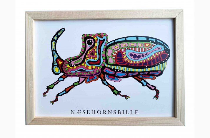 Nsehornsbille  16,5x22,5 cm indrammet i fyrtr