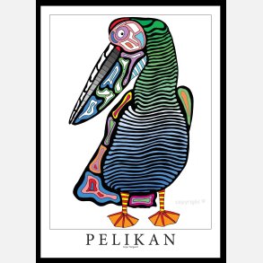 Pelikan 70x50 cm