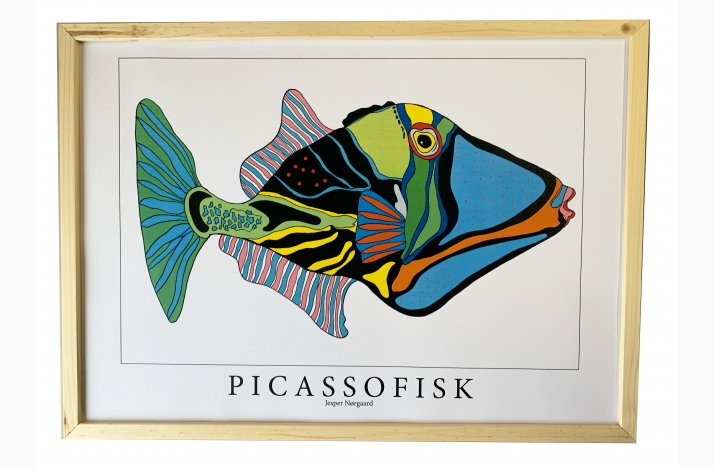 Picassofisk  31,5x43,5  cm