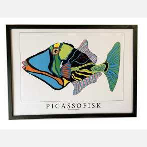 Picassofisk  31,5x43,5  cm