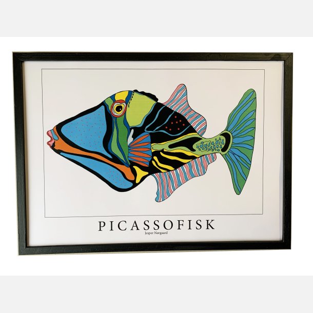 Picassofisk  31,5x43,5  cm