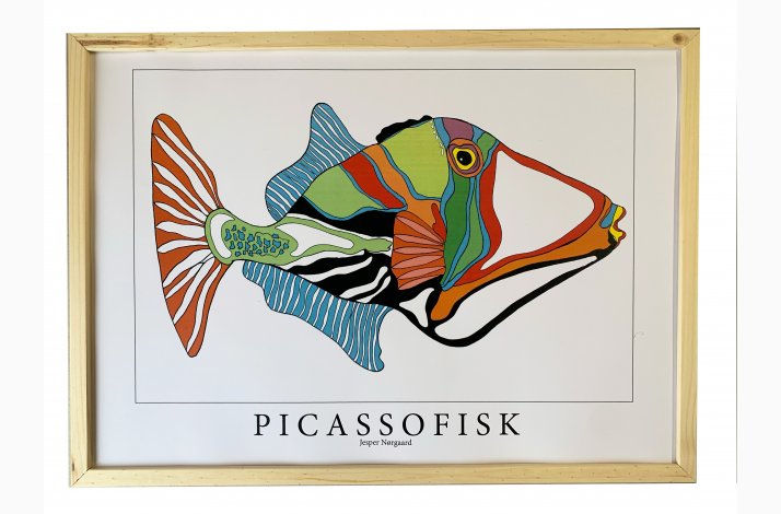 Picassofisk  31,5x43,5  cm