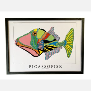 Picassofisk  31,5x43,5  cm