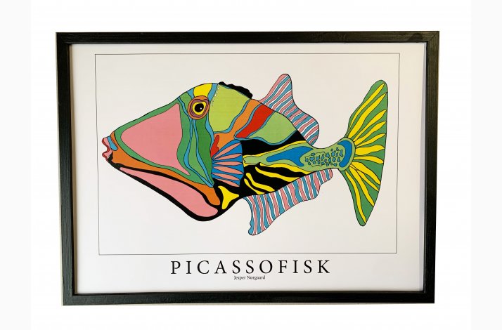 Picassofisk  31,5x43,5  cm