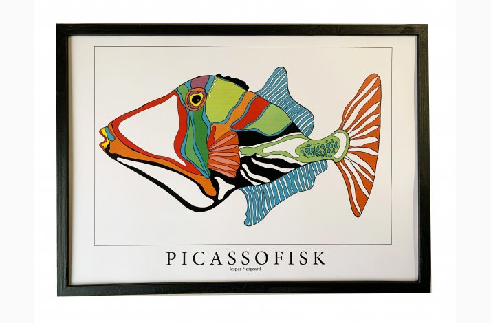 Picassofisk  31,5x43,5  cm