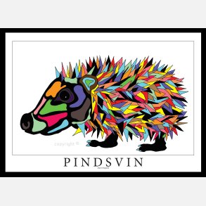 Pindsvin 50x70 cm