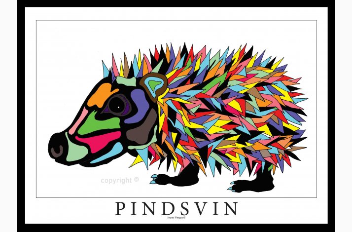 Pindsvin 50x70 cm