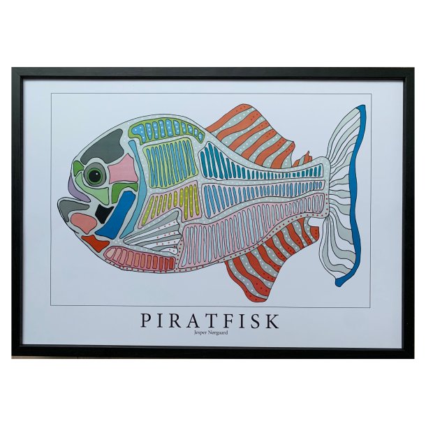 Piratfisk  gr 31,5x43,5 cm
