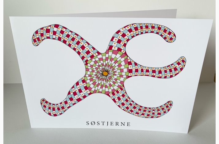 Sstjerne -15x21 cm dobbeltkort