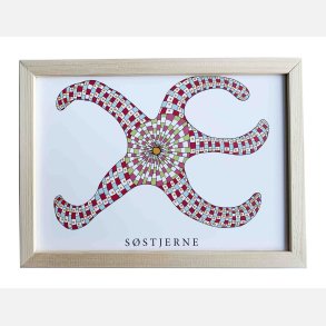 Sstjerne  16,5x22,5 cm indrammet i fyrtr