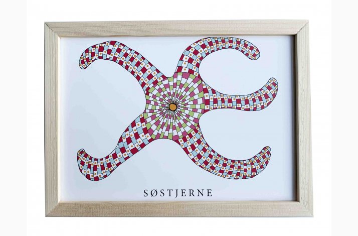 Sstjerne  16,5x22,5 cm indrammet i fyrtr