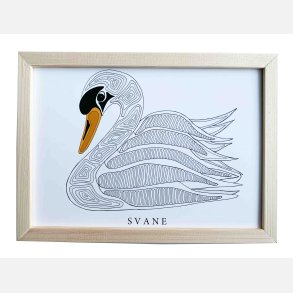Svane  16,5x22,5 cm indrammet i fyrtr