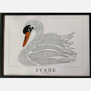 Svane  hvid  31,5x43,5 cm