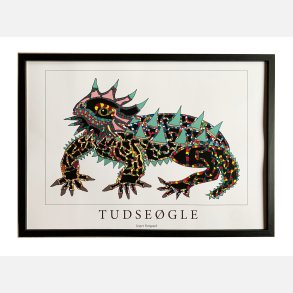 Tudse�gle  22,5x31,5 cm